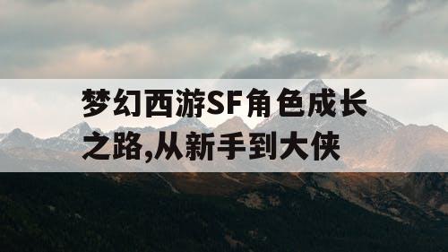 梦幻西游SF角色成长之路,从新手到大侠