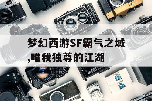 梦幻西游SF霸气之域,唯我独尊的江湖