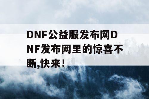 DNF公益服发布网DNF发布网里的惊喜不断,快来！