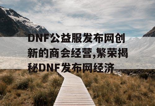 DNF公益服发布网创新的商会经营,繁荣揭秘DNF发布网经济