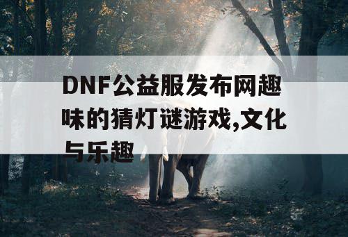 DNF公益服发布网趣味的猜灯谜游戏,文化与乐趣