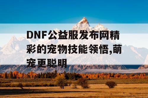 DNF公益服发布网精彩的宠物技能领悟,萌宠更聪明