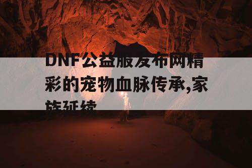 DNF公益服发布网精彩的宠物血脉传承,家族延续