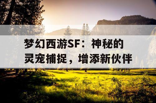 梦幻西游SF：神秘的灵宠捕捉，增添新伙伴