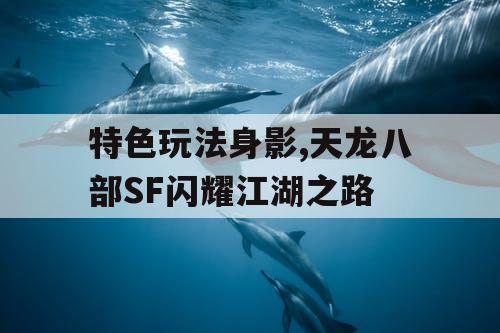 特色玩法身影,天龙八部SF闪耀江湖之路