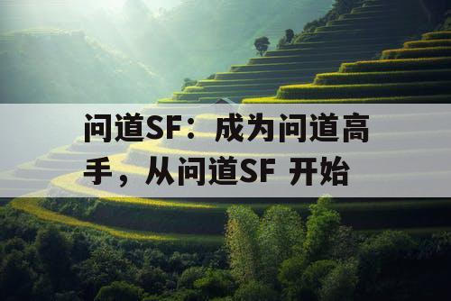 问道SF:成为问道高手,从问道SF 开始 问道SF:成为问道高手,从问道SF 开始