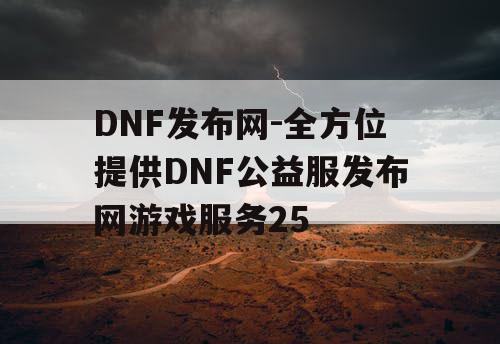 DNF发布网-全方位提供DNF公益服发布网游戏服务25