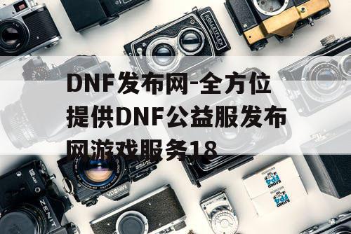 DNF发布网-全方位提供DNF公益服发布网游戏服务18