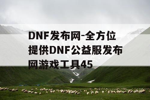 DNF发布网-全方位提供DNF公益服发布网游戏工具45