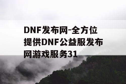 DNF发布网-全方位提供DNF公益服发布网游戏服务31