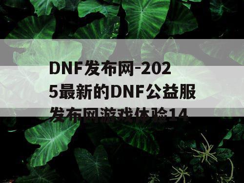 DNF发布网-2025最新的DNF公益服发布网游戏体验14