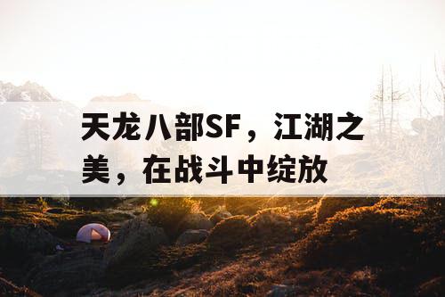 天龙八部SF，江湖之美，在战斗中绽放