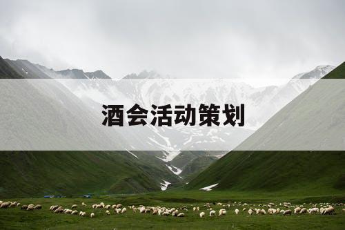 酒会活动策划