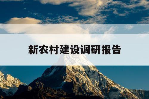 新农村建设调研报告