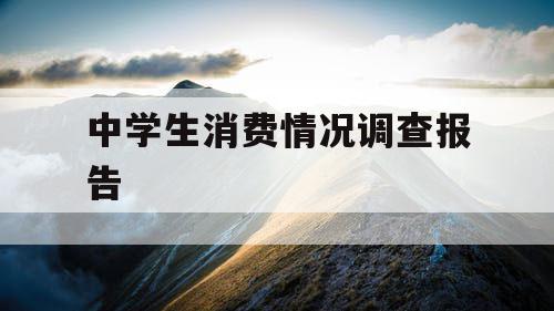 中学生消费情况调查报告