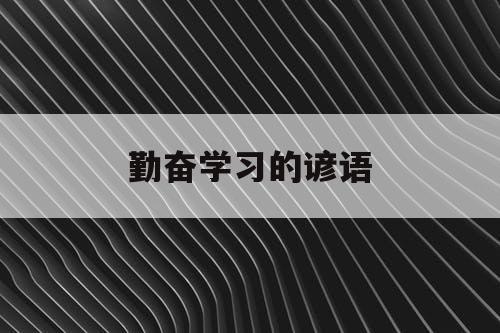 勤奋学习的谚语