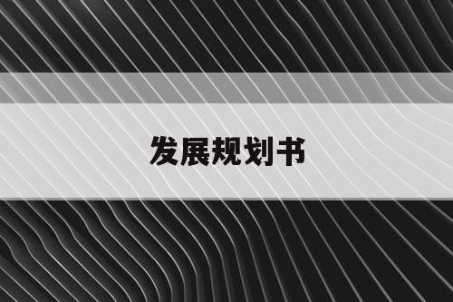 发展规划书