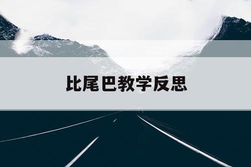 比尾巴教学反思