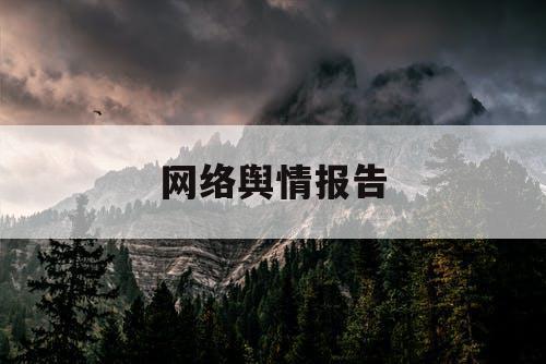 网络舆情报告