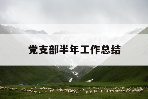 党支部半年工作总结