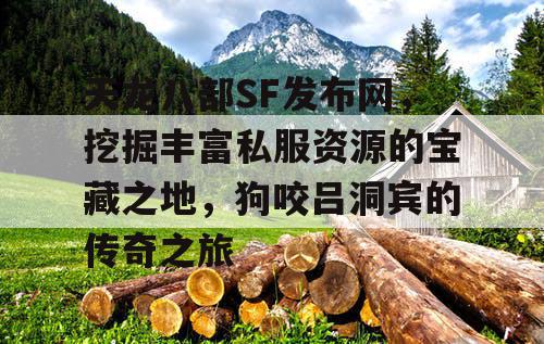天龙八部SF发布网，探寻丰富私服资源的宝藏之地，狗咬吕洞宾的传奇之旅