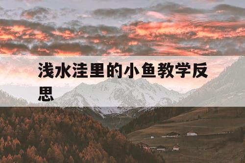 浅水洼里的小鱼教学反思