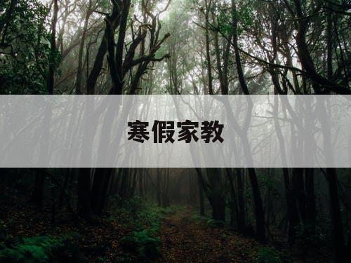 寒假家教