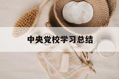 中央党校学习总结