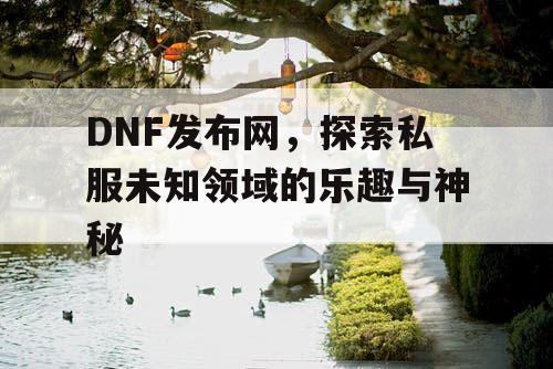 DNF发布网，探索私服未知领域的乐趣与神秘