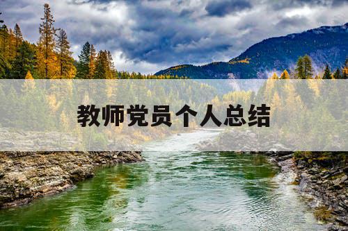 教师党员个人总结