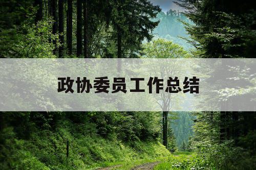 政协委员工作总结