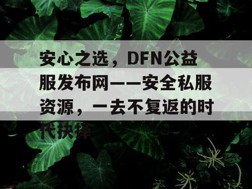 安心之选，DFN公益服发布网——安全私服资源，一去不复返的时代抉择