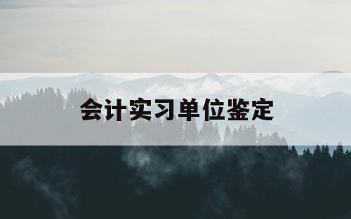 会计实习单位鉴定