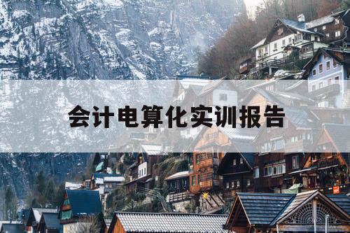 会计电算化实训报告