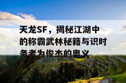 天龙SF，揭秘江湖中的称霸武林秘籍与识时务者为俊杰的奥义