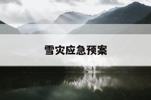 雪灾应急预案