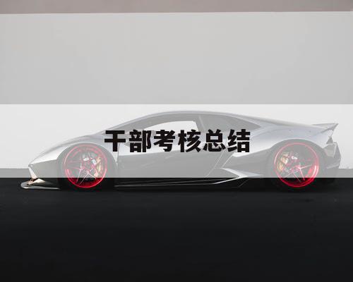 干部考核总结