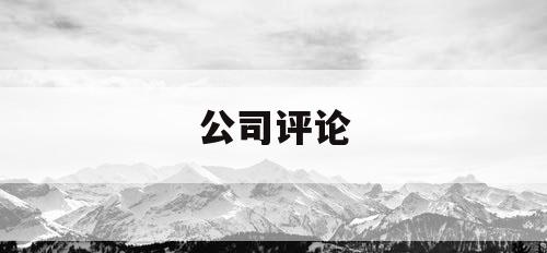 公司评论