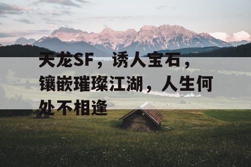 天龙SF，诱人宝石，镶嵌璀璨江湖，人生何处不相逢