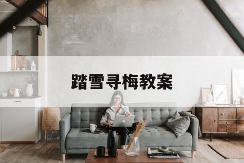 踏雪寻梅教案