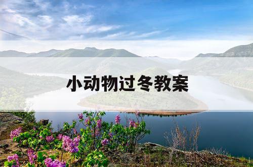 小动物过冬教案