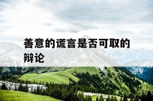 善意的谎言是否可取的辩论