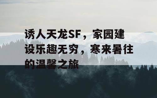 《天龙八部》家园建设，探索温馨家园的奇妙之旅