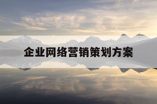 企业网络营销策划方案