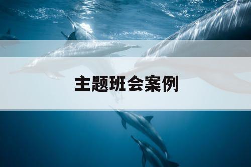 主题班会案例