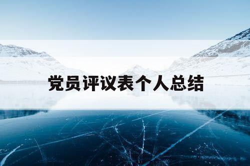 党员评议表个人总结