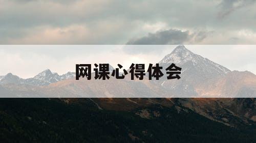 网课心得体会