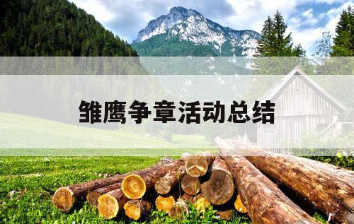 雏鹰争章活动总结