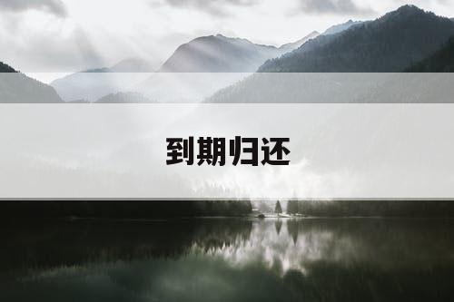 到期归还