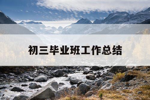 初三毕业班工作总结